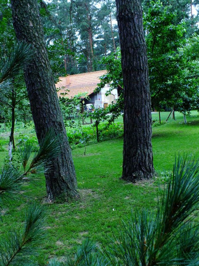 Appartement Agroturystyka Przysiolek Trzonki à Pisz Extérieur photo